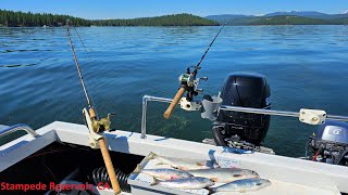 KOKANEE Salmon TROLLING Stampede Reservoir, CA