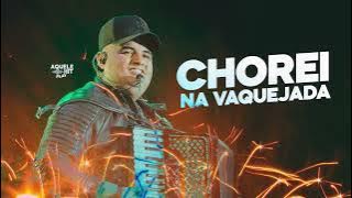 Tarcísio do acordeon          CHOREI NA VAQUEIJADA 🐴