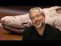 Finding Tiktaalik: Neil Shubin on the Evolutionary Step from Sea to Land