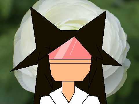 トンデモ未来のスヾメ original meme (terrible)