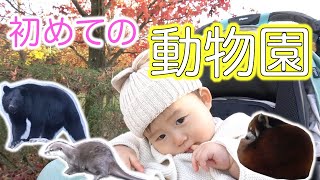 初めての動物園！動物いっぱいにワクワク!!のはずが...？｜とくしま動物園【９ヶ月赤ちゃん】