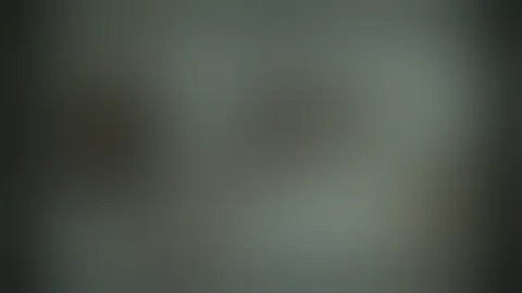 1971 plainfield machine m1 carbine