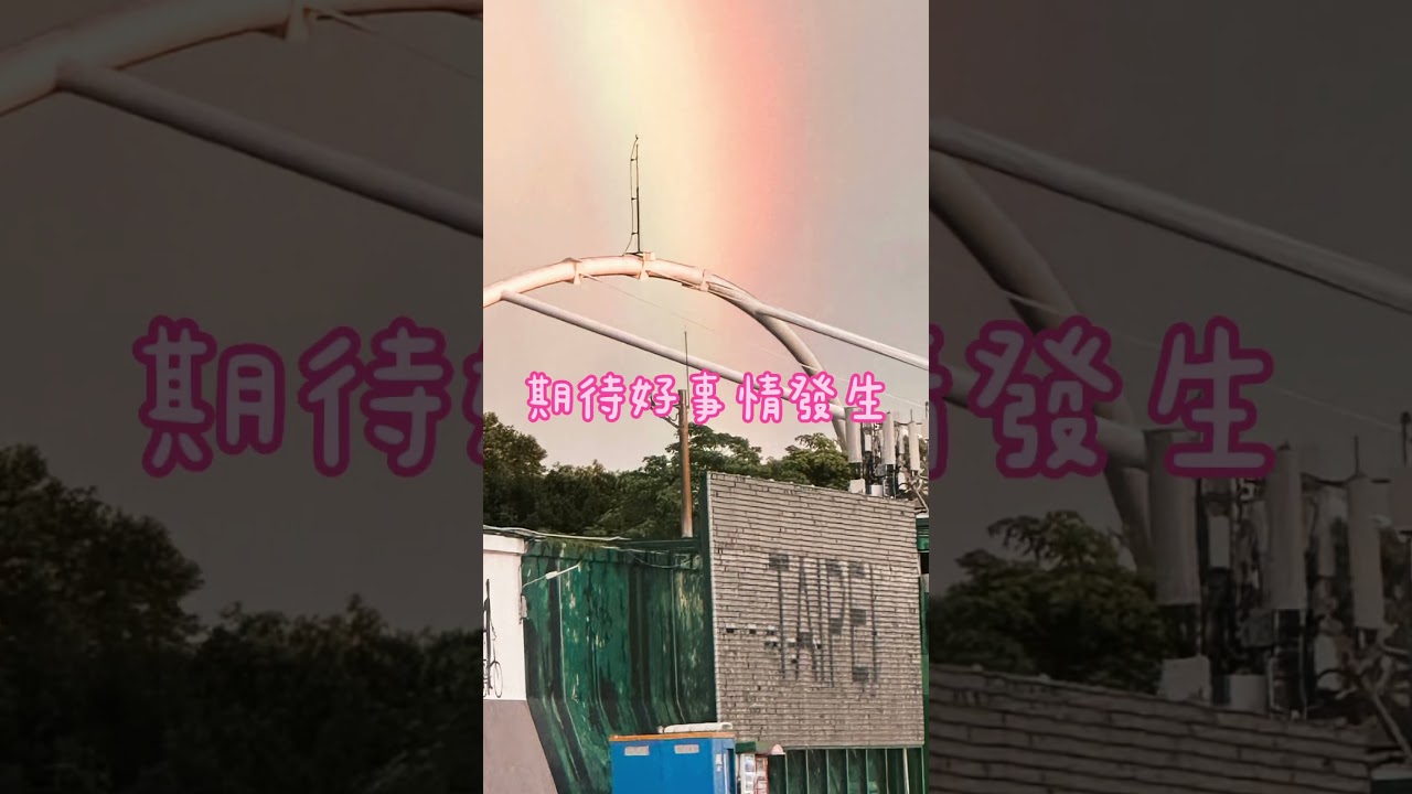 #shorts #狗狗 #米克斯 #唐狗 #彩虹 #rainbow 縮圖
