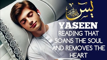 Surah Yasin (Yaseen) سورة يس | Majestic Quran to Help You Relax, Sleep, and Heal
