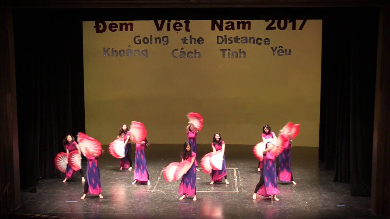 Đêm Việt Nam 2017 - Fans