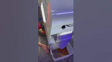 Mini Color Sorter for Broken Walnuts Sorting