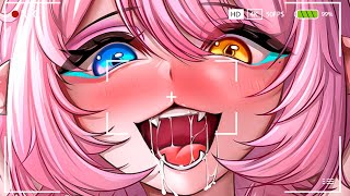Catboy Trying Multi Streaming.. Cause Why Not