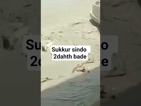 سکر بئراج جي دروازن لڙهي آيل ڪپڙن کان آجا ٽي لاشهن وقت تائين لاشن جي سڃاڻپ نه ٿي سگهي