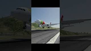 A320 Perfect Landing With Short Runway
