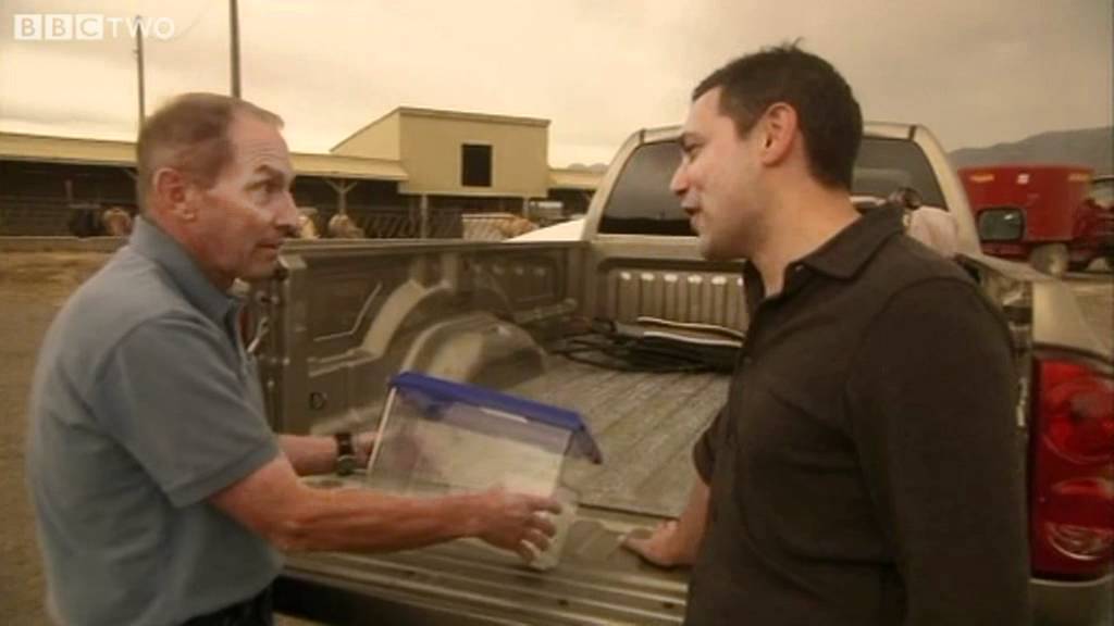 An Animal that Shouldn't Really Exist - Horizon: Playing God - BBC