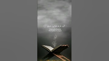 قد افلح المؤمنون الذين هم في صلاتهم خاشعون #القران_الكريم #سورة_المؤمنون