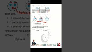 Standart Model-Atom Altı Parçacıklar  [Tak-Tik Fizik]