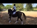 Canter Elasticity Using S-Turns, Dressage Schooling Exercises, Season 1 Episode 4