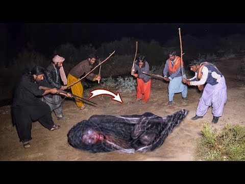 If These Creatures Were Not Filmed, No One Would Have Believed Them
