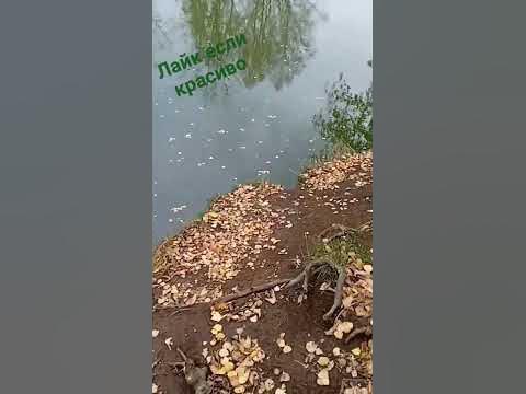 пейзаш - YouTube