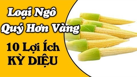 Lợi ích sức khỏe Kỳ Diệu của Ngô Bao Tử trong 100 người thì 99 người không biết