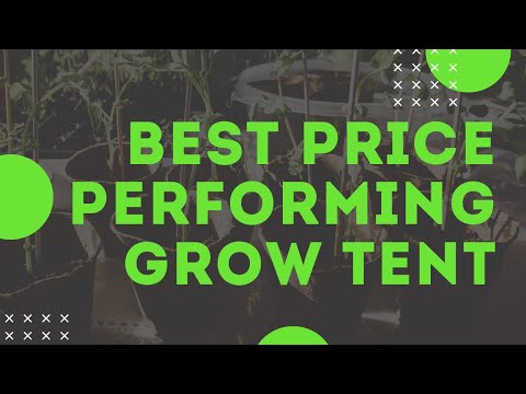 Best Inexpensive Grow Tent & Grow Room Review - Plant HClothesard sete Grow Tents