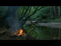 Ormanda  kamp atei su ve ku sesi   dinlendirici orman sesleri  4k  uzun versiyon