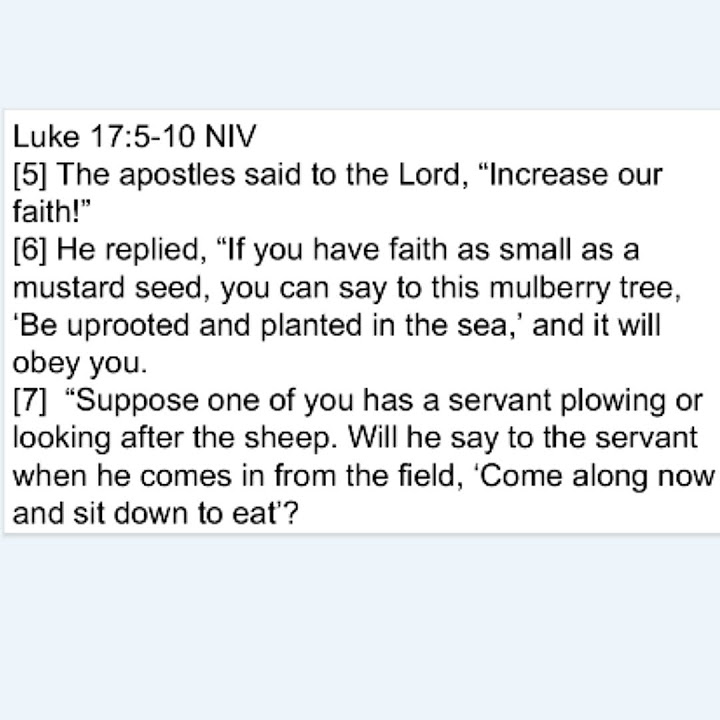 morning-bible-coffee-break-06-13-24-luke-17-5-10-youtube