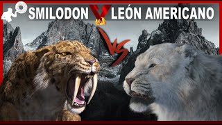 SMILODON POPULATOR vs LEÓN AMERICANO. Una Batalla de 🐯GIGANTES AMERICANOS🦁