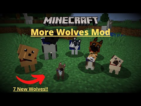 7 New Wolves Added To Minecraft Minecraft Mod Review Mod Monday More Wolves Mod 1 15 2 Minecraft Summary マイクラ動画