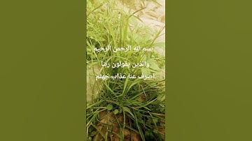 #egzonibrahimi #سورة_الإخلاص #ikhlas #تلاوة_خاشعة #اكسبلور #الرحمن #اسلام_صبحي #لايك #الظروف #دويتو