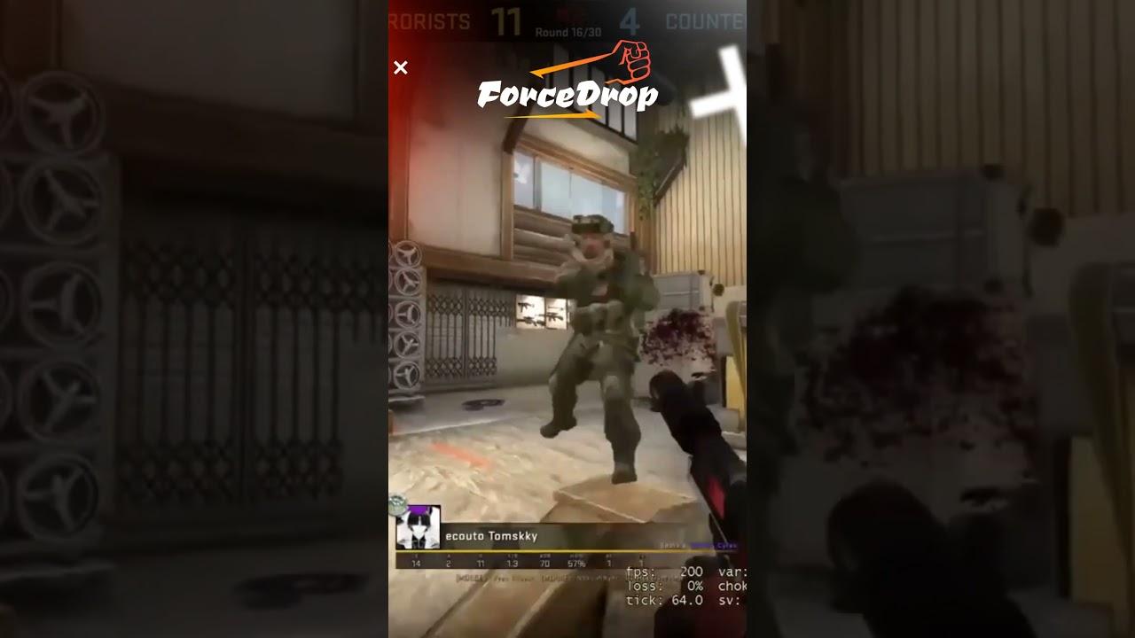 Встреча двух профессионалов 