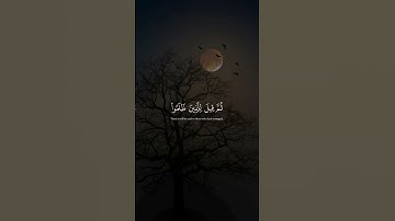 القرآن الكريم | سورة يونس - عبدالرحمن مسعد #اكسبلور #راحة_نفسية #لايك
