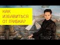 Внутренний грибок. Как избавиться от грибка? Избавление от грибка.  [Галина Гроссманн]