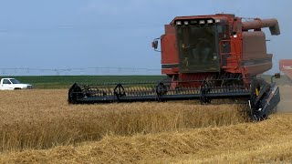 AgweekTV: Cereal Crop Tour - South Dakota