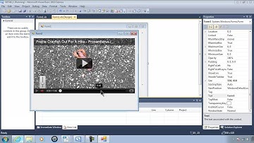 Visual Basic 2010 Express Tutorial 46   Playing YouTube Videos With WebBrowser And Parameters