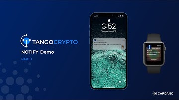 Tangocrypto Notify - Part 1 - Webhook testing