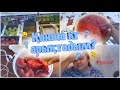 VLOG:ҚАНША КГ АРЫКТАДЫМ? ЖАҢА АРЫҚТАУ МАРАФОНЫ