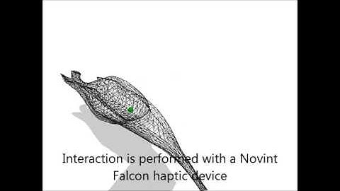 Cosserat Physics and Animation by Niels Hald