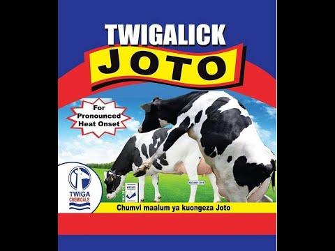 Dairy farming Tips- Twigalick Joto