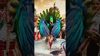 Sacred Quetzal Emerges From Giant Tarpon in Guatemalan River - Ancient Maya Prophecy Fulfilled