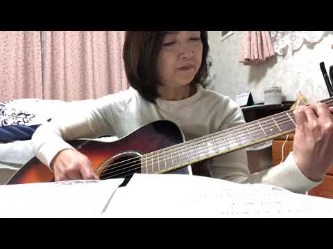 BEGIN三線の花🌸ギター弾き語り