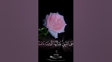 صباح الخيرجمعه مباركه حالات واتساب مقاطع قصيره قران كريم ان الله وملائكته يصلون على النبي🌸بدون حقوق
