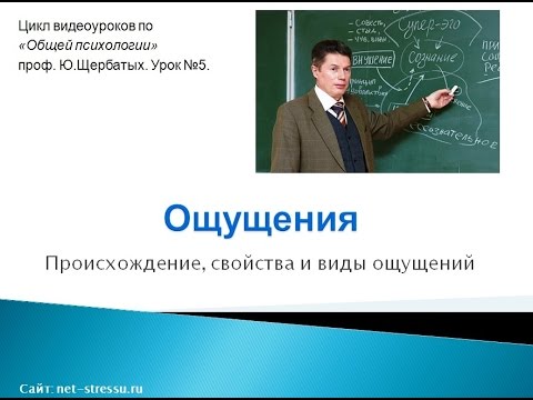 Ощущение (Психология ощущений)