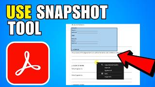 How To Use The Snapshot Tool In Adobe Reader (2026) (Complete Guide)