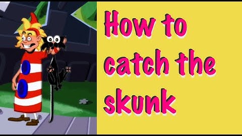 DOTT - How to catch a skunk