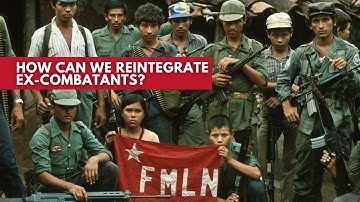 The DDR Solution: How it Works and its Impact on Peace and Security