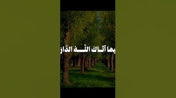 وابتغ فيما اتاك الله الدار الاخره ولا تنسى نصيبك من الدنيا....... #قرآن #المصحف #تلاوة_خاشعة #ترند