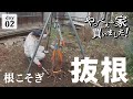 【作業2日目】激安な方法で、伐根を試してみる！