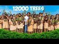 We Plant 12000 Trees And Gave It For Free