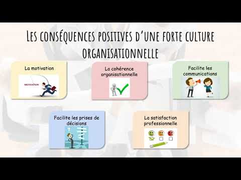 Vidéo: La Culture Organisationnelle De L'entreprise Est à La Base De La Création D'un Espace De Travail Efficace