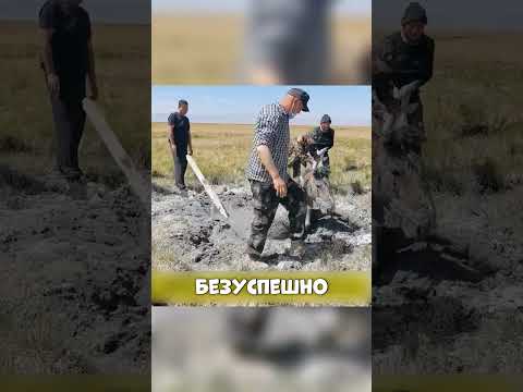 ЭЛИТНАЯ лошадь ТОНЕТ в ГРЯЗИ! 😨🌍🐴