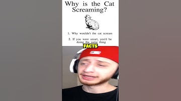 Why Is The Cat Screaming? #shorts #short #memes #meme