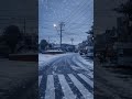 Saat jalanan diselimuti salju, dingin tak terasa yang ada hanya keindahan #snowroad #salju #shorts