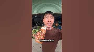 24H Trước Khi Khoa Rời Đi  #tranvyvy